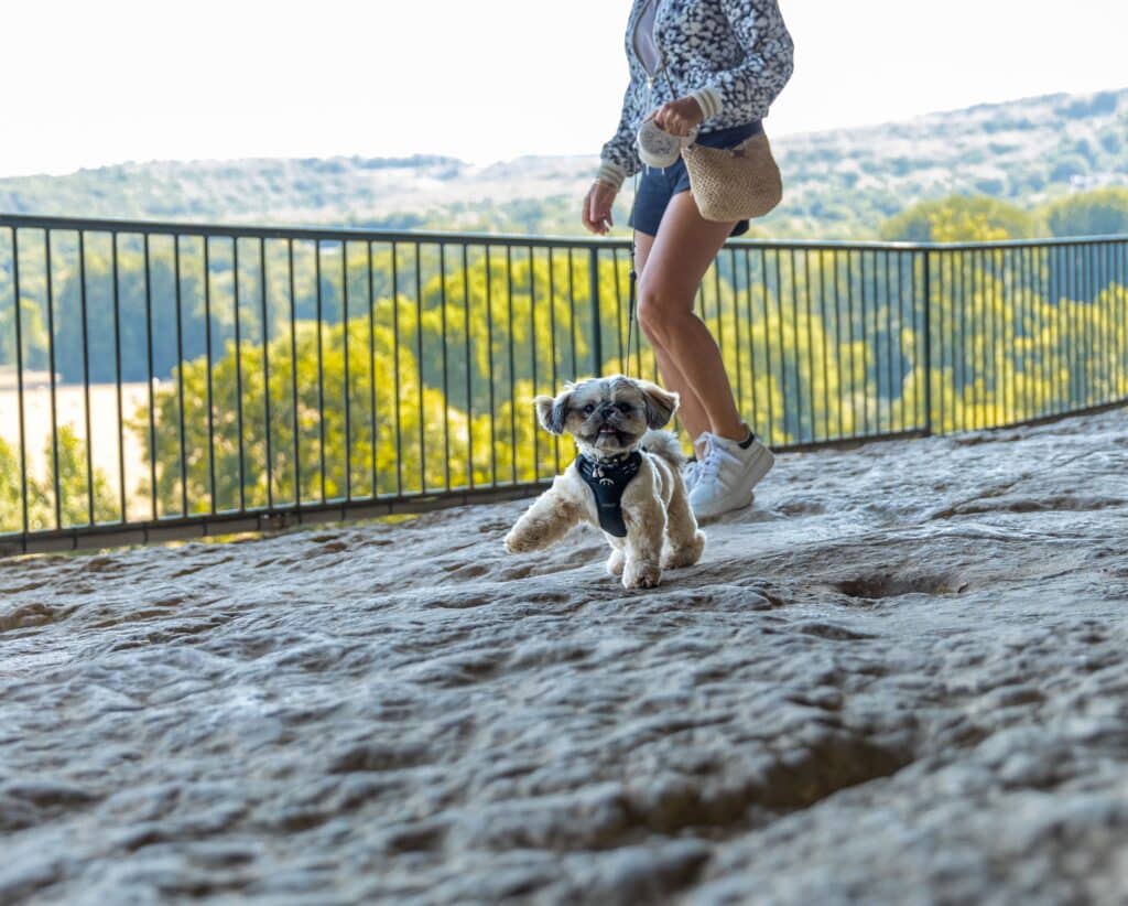 La Roque 2025 (46) compressée