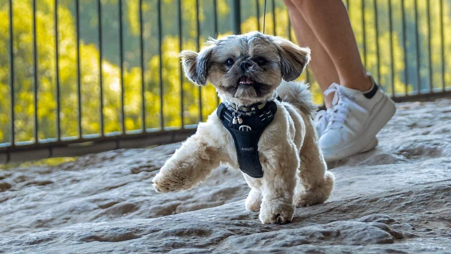 La Roque 2025 (46) compressée